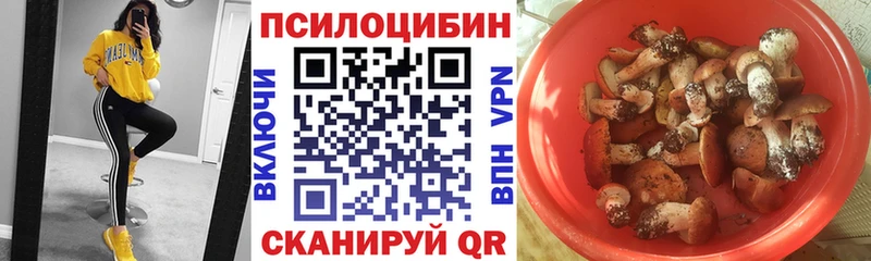 кракен ссылки  Полысаево  Галлюциногенные грибы Cubensis 